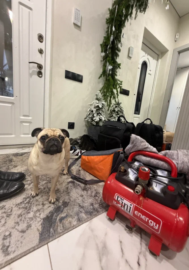 Наши работы — поиск протечки кровли